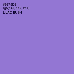 #9375D3 - Lilac Bush Color Image